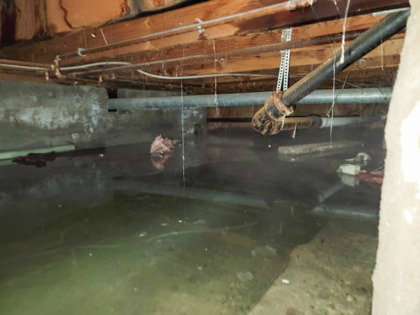 24/7 water damage repair in Dumbarton, VA