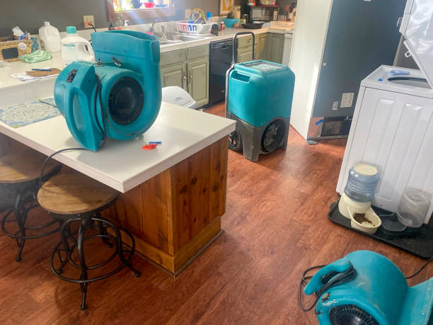 Best Commercial water damage restoration  in Dumbarton, VA
